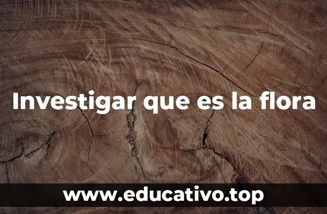 La importancia de la flora en los ecosistemas