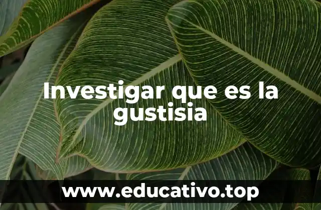 Investigar que es la gustisia