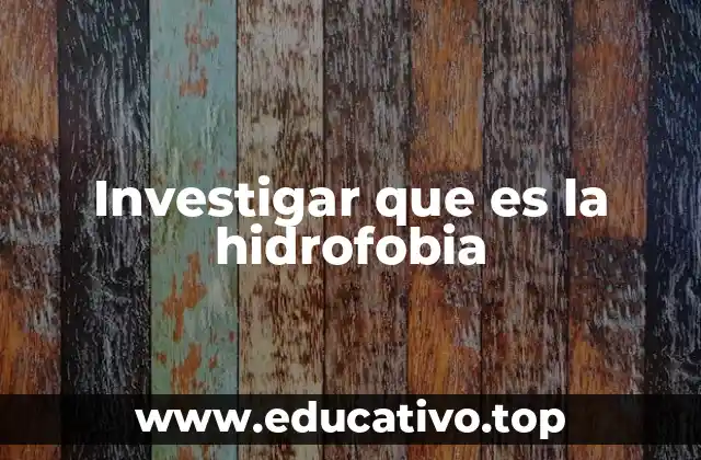 Investigar que es la hidrofobia