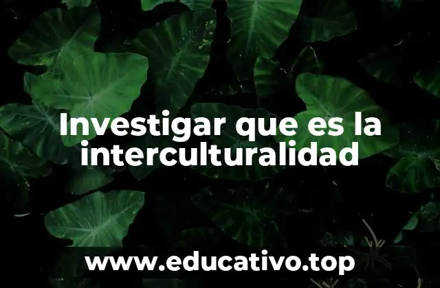 Investigar que es la interculturalidad