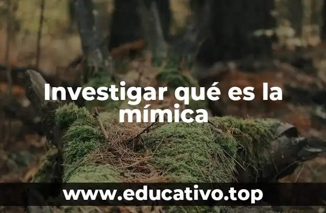 Investigar qué es la mímica