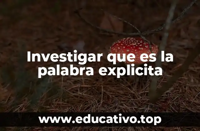 Investigar que es la palabra explicita