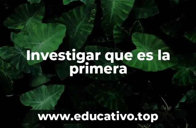 Investigar que es la primera