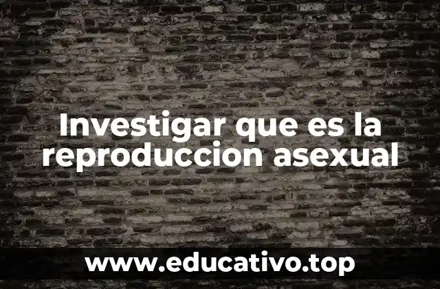 Investigar que es la reproduccion asexual