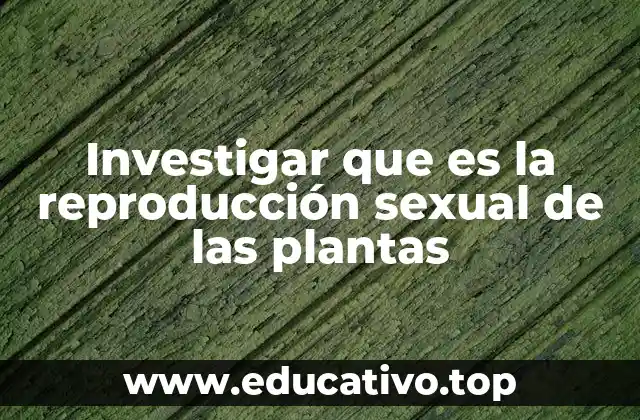 Investigar que es la reproducción sexual de las plantas