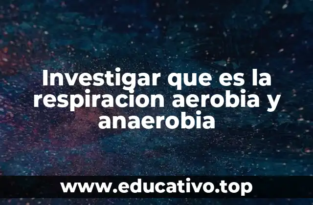 Investigar que es la respiracion aerobia y anaerobia