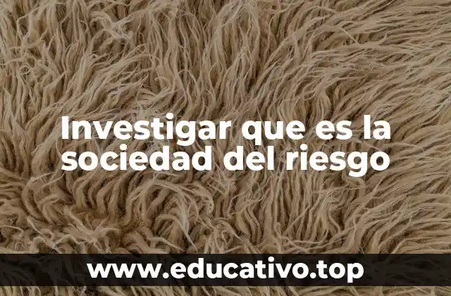 Investigar que es la sociedad del riesgo
