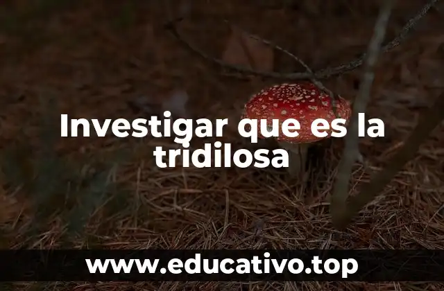 La tridilosa en el contexto de las sustancias químicas