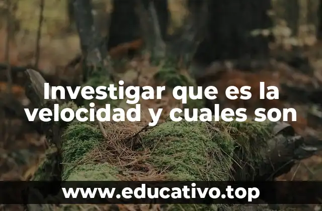 Investigar que es la velocidad y cuales son