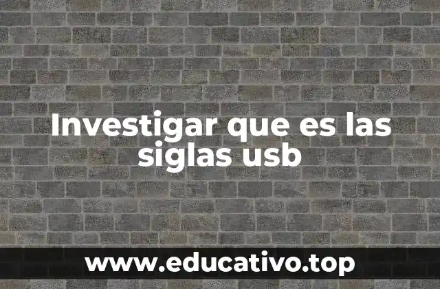 Investigar que es las siglas usb