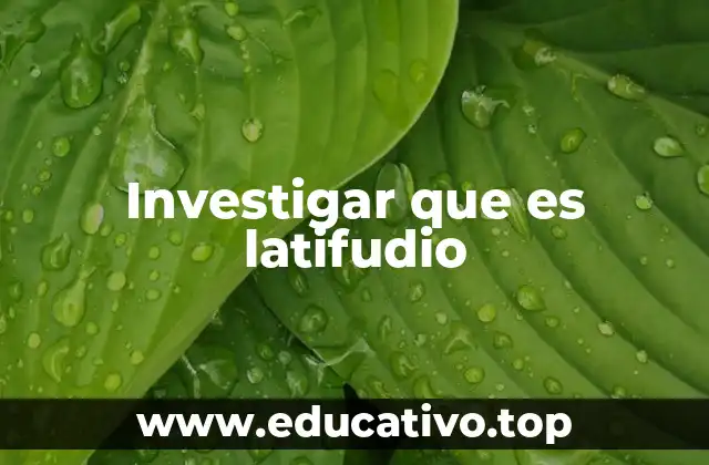 Investigar que es latifudio