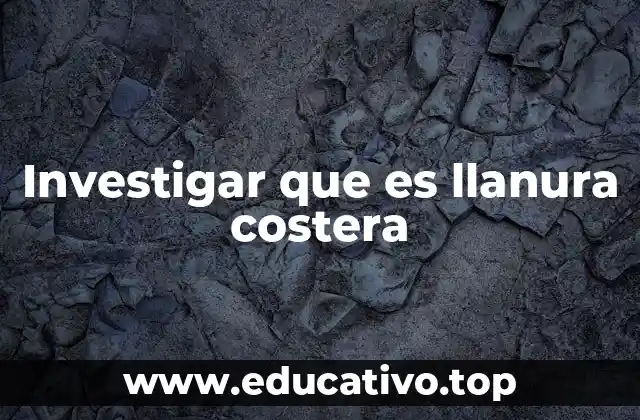 Investigar que es llanura costera