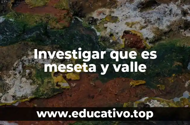 Investigar que es meseta y valle