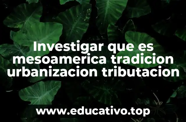 Investigar que es mesoamerica tradicion urbanizacion tributacion