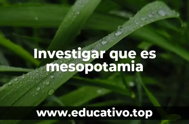 Investigar que es mesopotamia