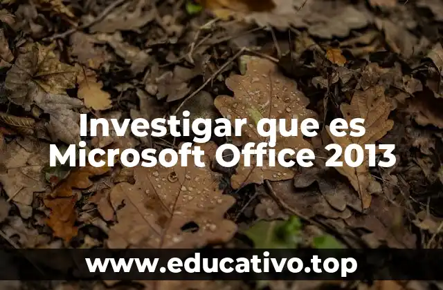 Investigar que es Microsoft Office 2013