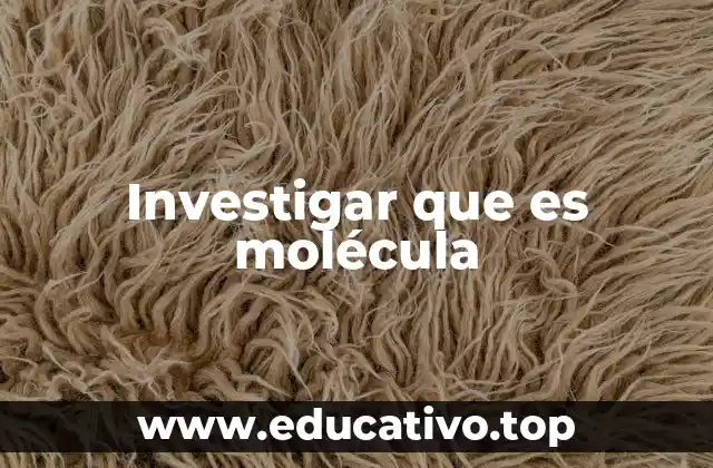 Investigar que es molécula