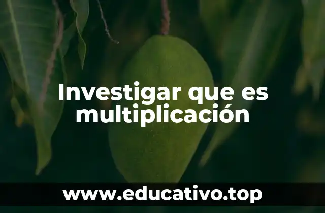 Investigar que es multiplicación