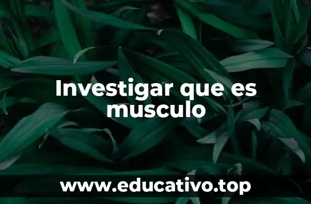Investigar que es musculo