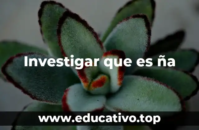 Investigar que es ña