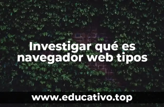 Investigar qué es navegador web tipos