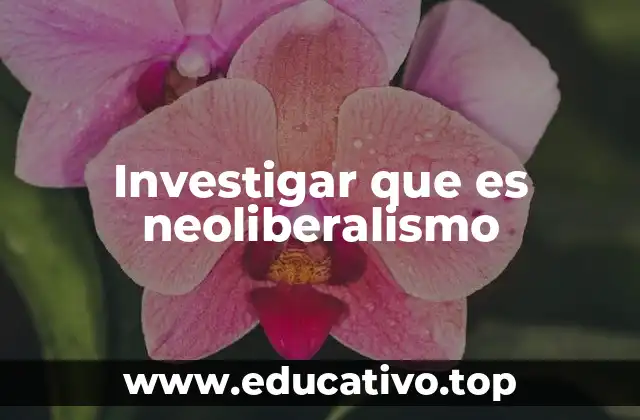 Investigar que es neoliberalismo