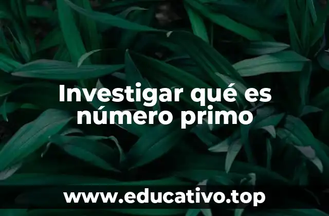 Investigar qué es número primo