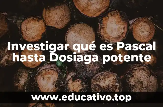 Investigar qué es Pascal hasta Dosiaga potente