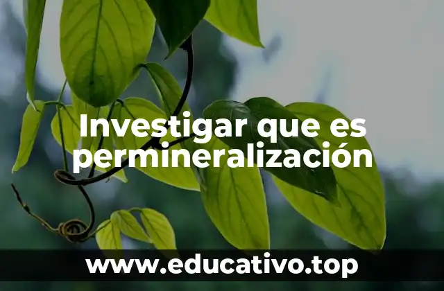 Investigar que es permineralización