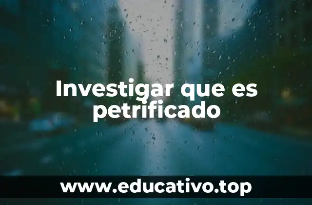 Investigar que es petrificado