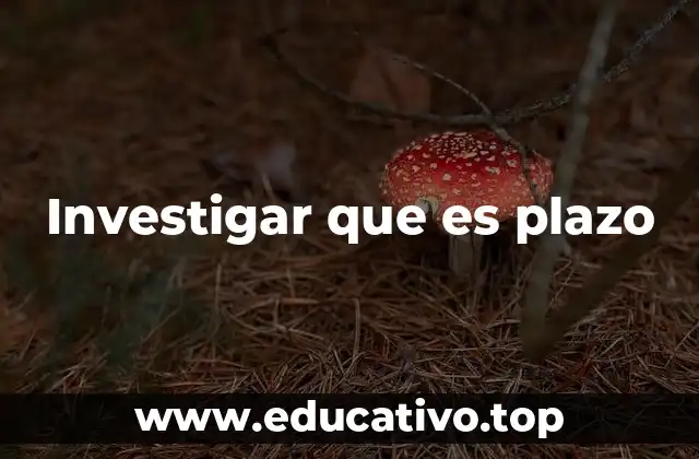 Investigar que es plazo