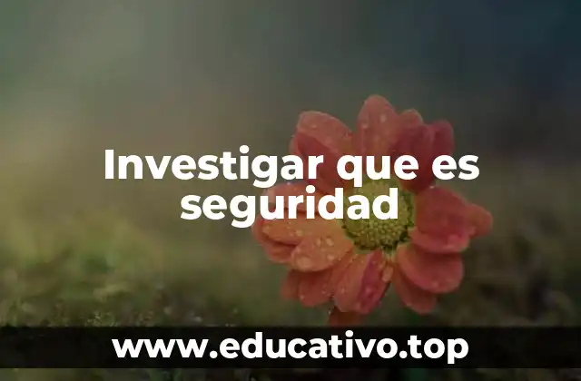 Investigar que es seguridad