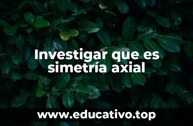 Investigar que es simetría axial