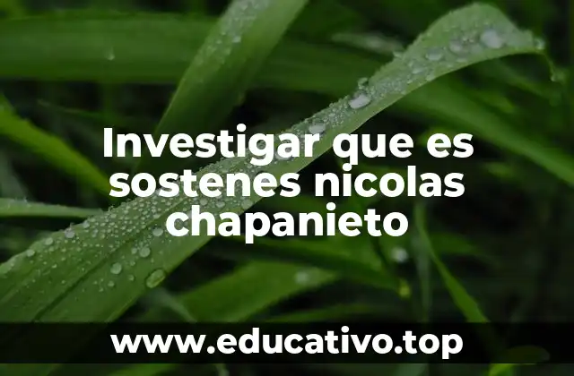 Investigar que es sostenes nicolas chapanieto