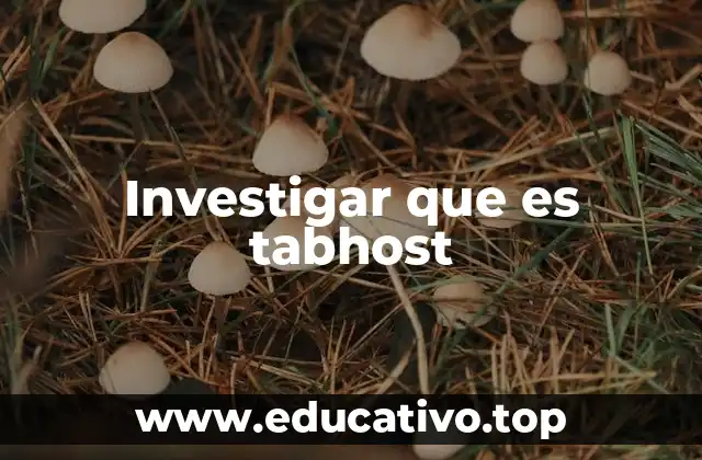 Investigar que es tabhost