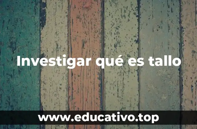 Investigar qué es tallo