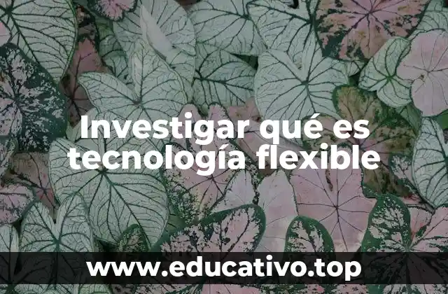 Investigar qué es tecnología flexible