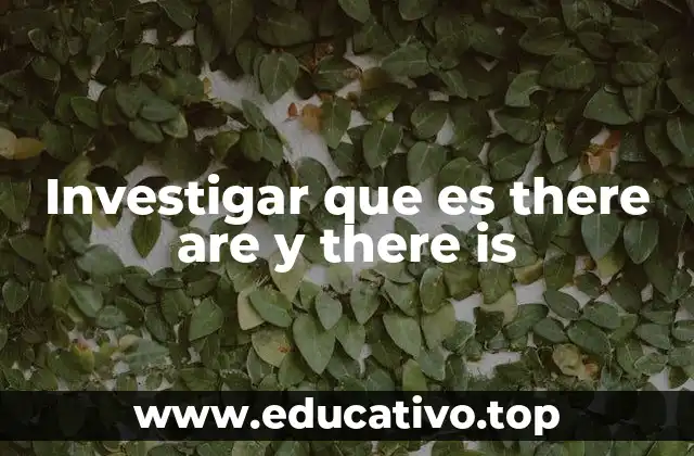 Investigar que es there are y there is