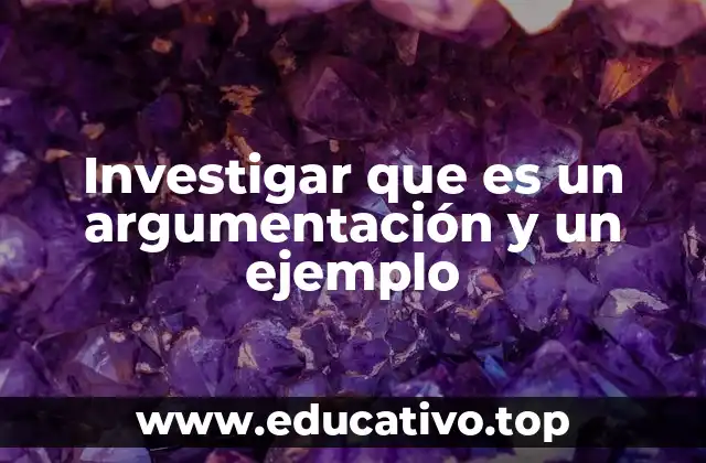 Investigar que es un argumentación y un ejemplo