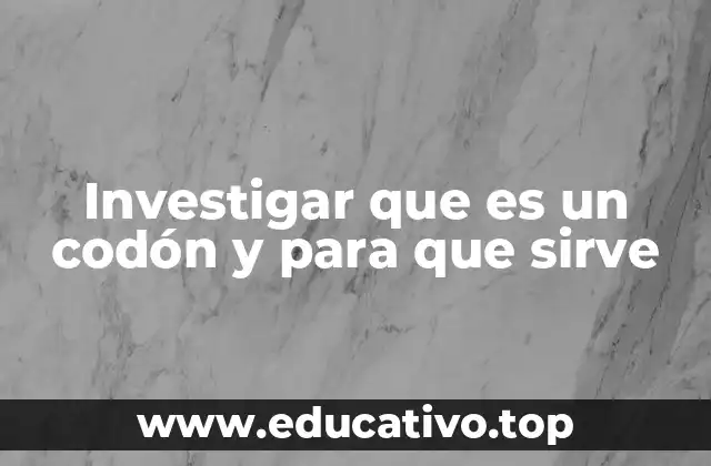 Investigar que es un codón y para que sirve