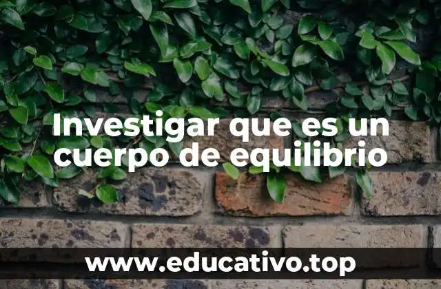 Investigar que es un cuerpo de equilibrio