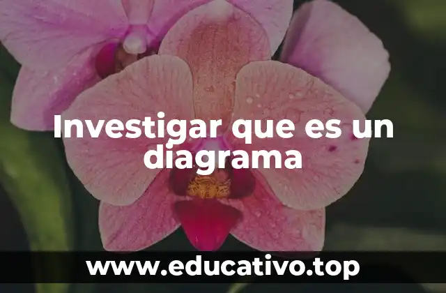 Investigar que es un diagrama