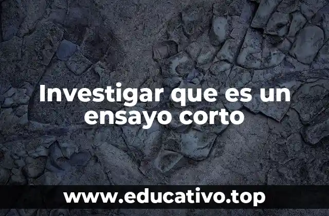 Investigar que es un ensayo corto