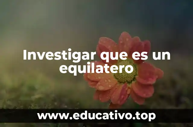Investigar que es un equilatero