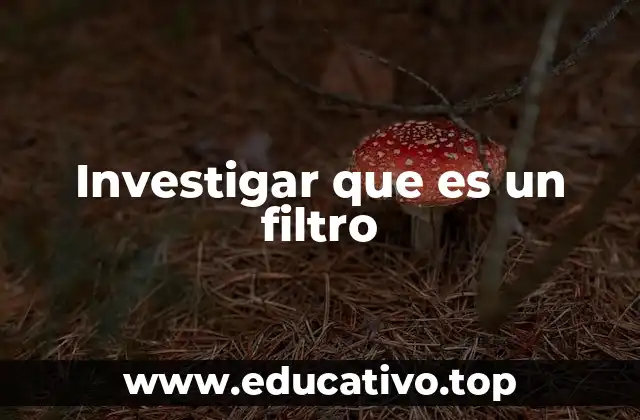 Investigar que es un filtro