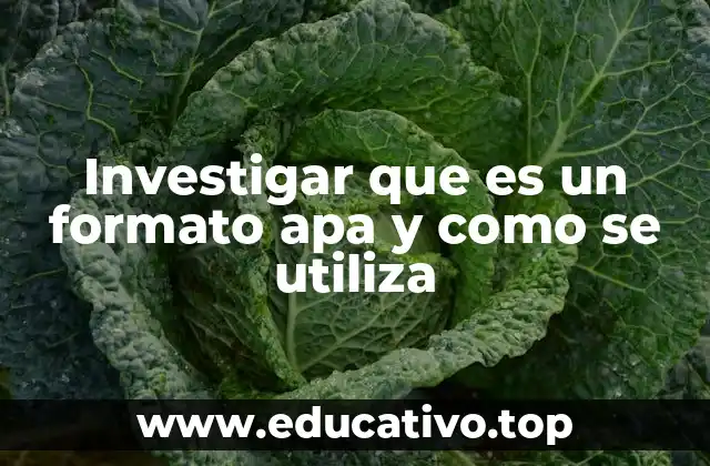 Investigar que es un formato apa y como se utiliza