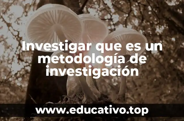 Investigar que es un metodología de investigación
