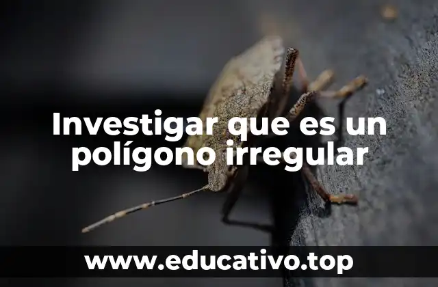 Investigar que es un polígono irregular