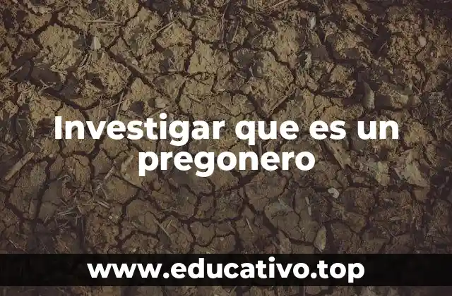 Investigar que es un pregonero