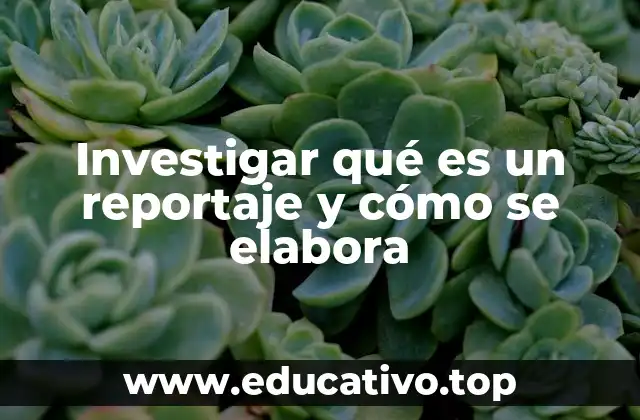 Investigar qué es un reportaje y cómo se elabora